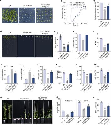 Arthrospira promotes plant growth and soil properties under high salinity environments